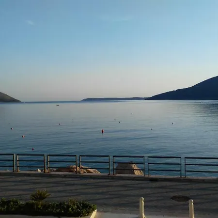 Zarkovic * Podgorica